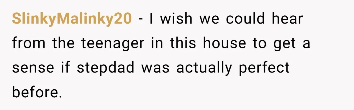 SlinkyMalinky20 − I wish we could hear from the teenager in this house to get a sense if stepdad was actually perfect before.
