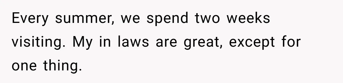 Every summer, we spend two weeks visiting. My in laws are great, except for one thing.