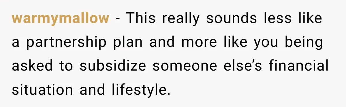 warmymallow − This really sounds less like a partnership plan and more like you being asked to subsidize someone else’s financial situation and lifestyle.