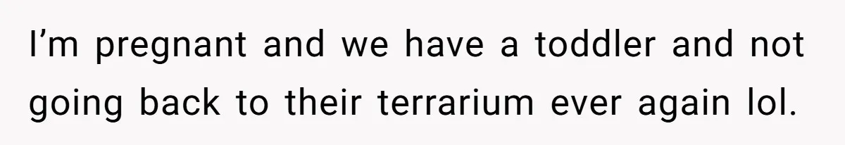 I’m pregnant and we have a toddler and not going back to their terrarium ever again lol.