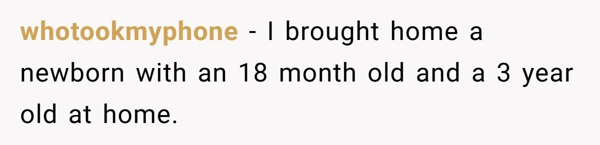 whotookmyphone − I brought home a newborn with an 18 month old and a 3 year old at home.