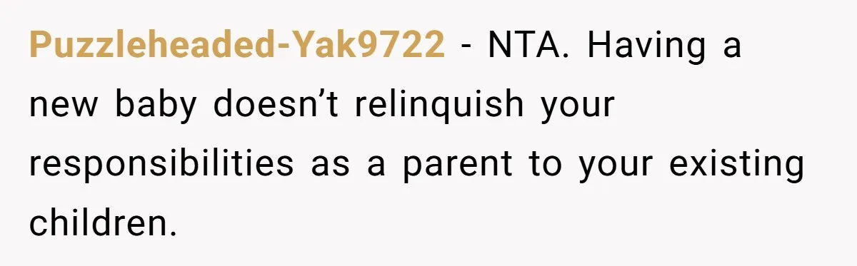 Puzzleheaded-Yak9722 − NTA. Having a new baby doesn’t relinquish your responsibilities as a parent to your existing children.