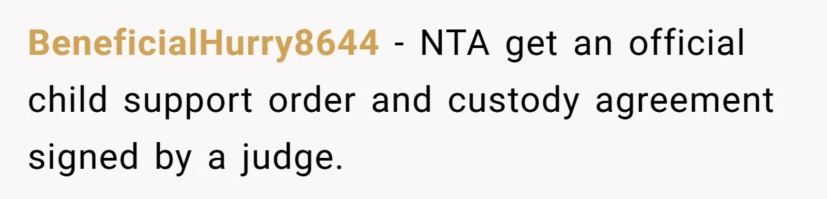BeneficialHurry8644 − NTA get an official child support order and custody agreement signed by a judge.