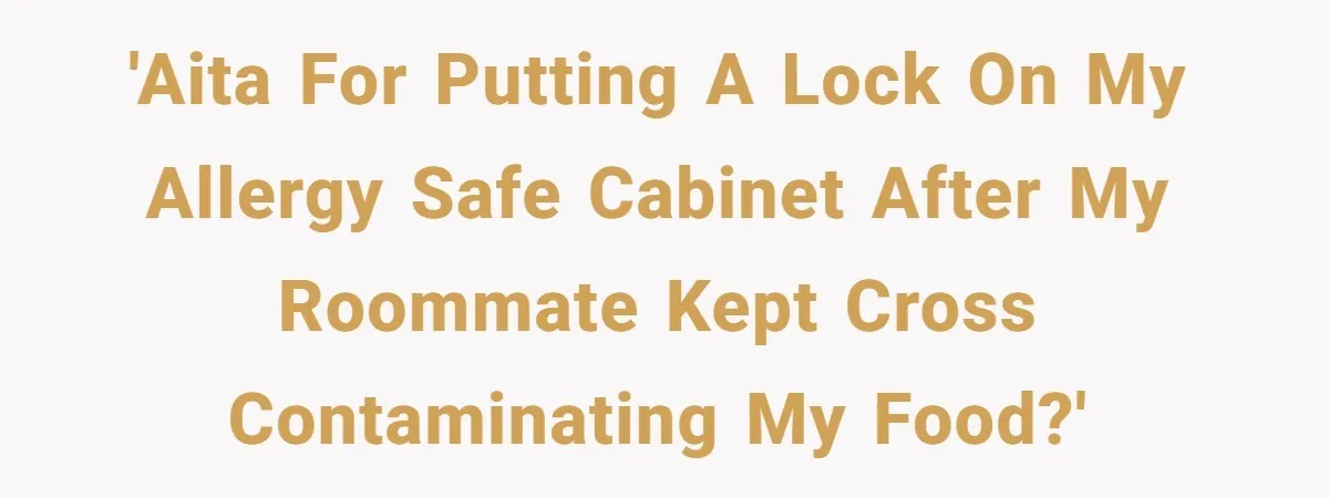 'AITA for putting a lock on my allergy safe cabinet after my roommate kept cross contaminating my food?'