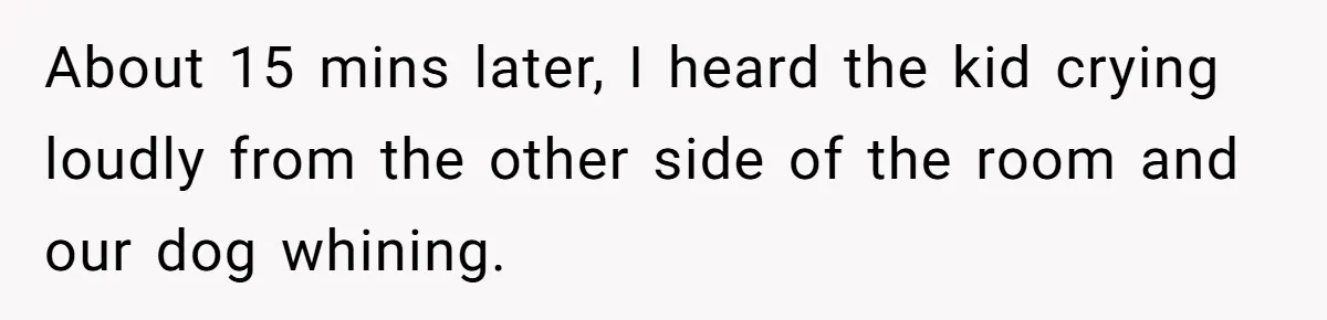 About 15 mins later, I heard the kid crying loudly from the other side of the room and our dog whining.