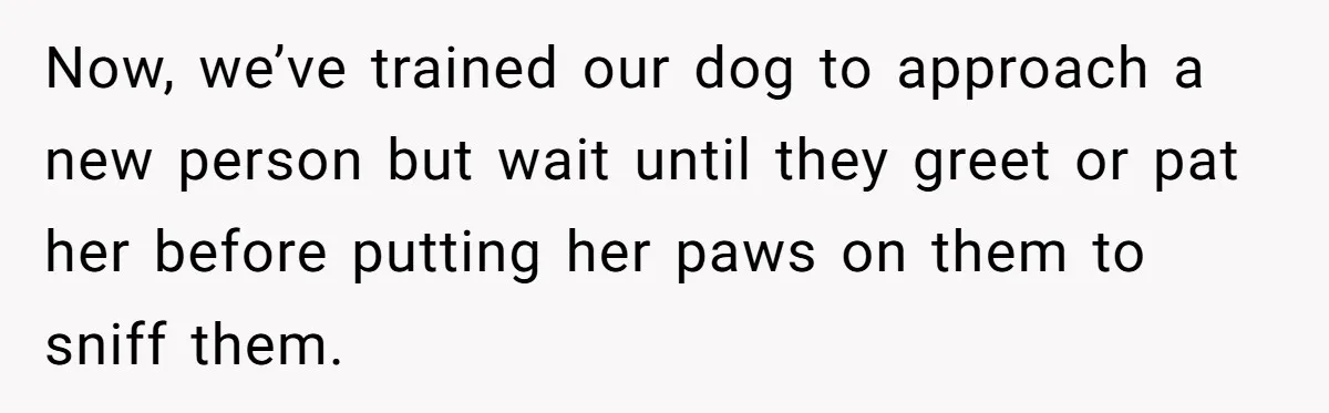 Now, we’ve trained our dog to approach a new person but wait until they greet or pat her before putting her paws on them to sniff them.