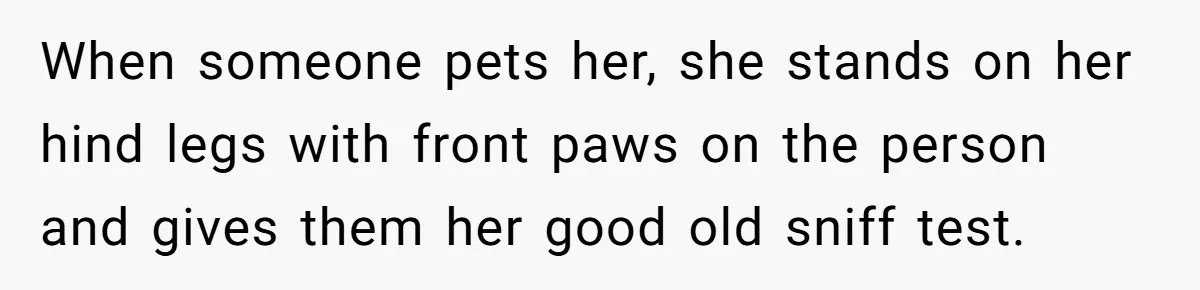When someone pets her, she stands on her hind legs with front paws on the person and gives them her good old sniff test.