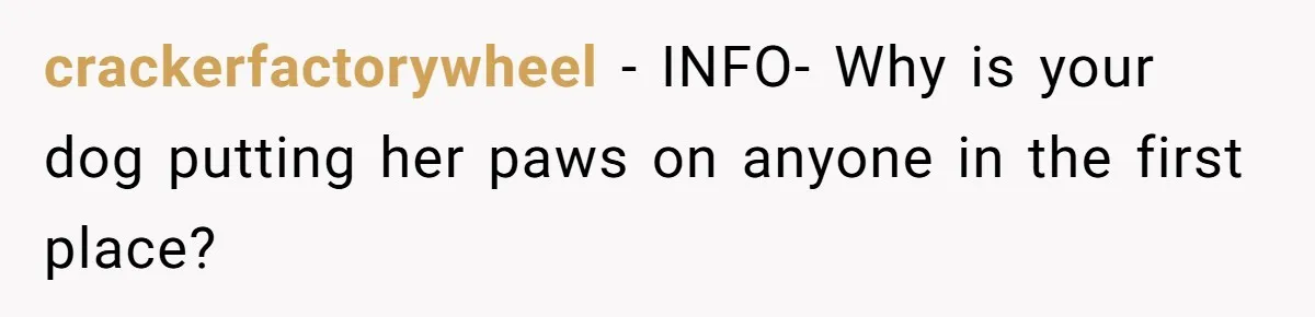 crackerfactorywheel − INFO- Why is your dog putting her paws on anyone in the first place?