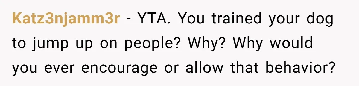 Katz3njamm3r − YTA. You trained your dog to jump up on people? Why? Why would you ever encourage or allow that behavior?
