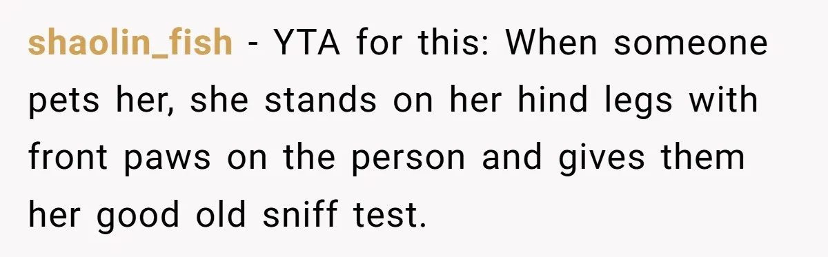 shaolin_fish − YTA for this: When someone pets her, she stands on her hind legs with front paws on the person and gives them her good old sniff test.