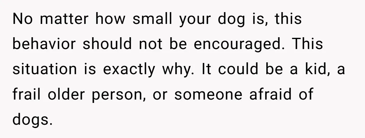 No matter how small your dog is, this behavior should not be encouraged. This situation is exactly why. It could be a kid, a frail older person, or someone afraid...