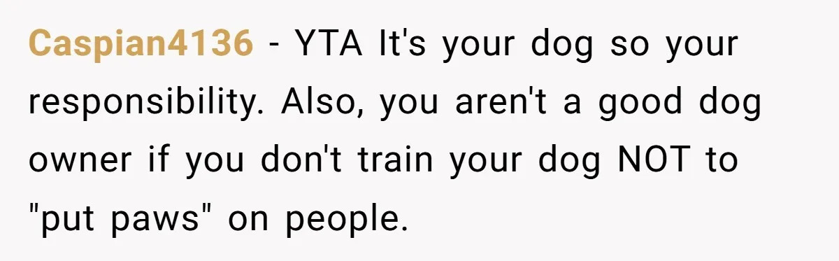 Caspian4136 − YTA It's your dog so your responsibility. Also, you aren't a good dog owner if you don't train your dog NOT to "put paws" on people.
