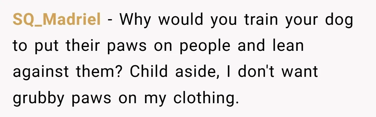 SQ_Madriel − Why would you train your dog to put their paws on people and lean against them? Child aside, I don't want grubby paws on my clothing.