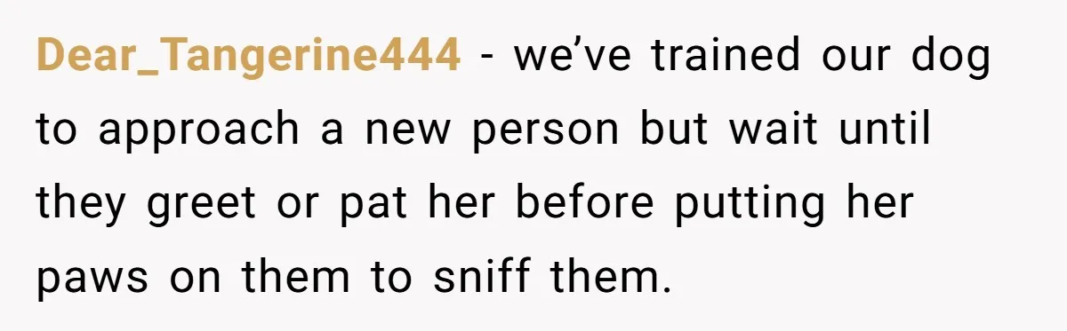 Dear_Tangerine444 − we’ve trained our dog to approach a new person but wait until they greet or pat her before putting her paws on them to sniff them.