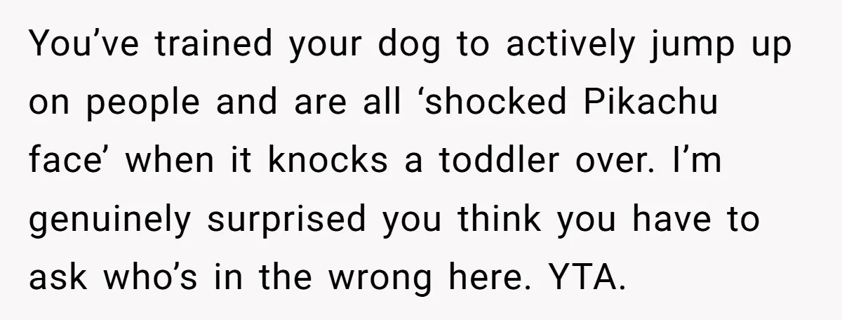 You’ve trained your dog to actively jump up on people and are all ‘shocked Pikachu face’ when it knocks a toddler over. I’m genuinely surprised you think you have to...
