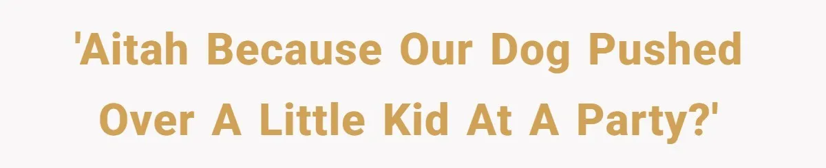 'AITAH because our dog pushed over a little kid at a party?'