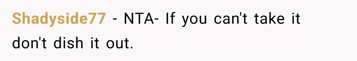 Shadyside77 − NTA- If you can't take it don't dish it out.