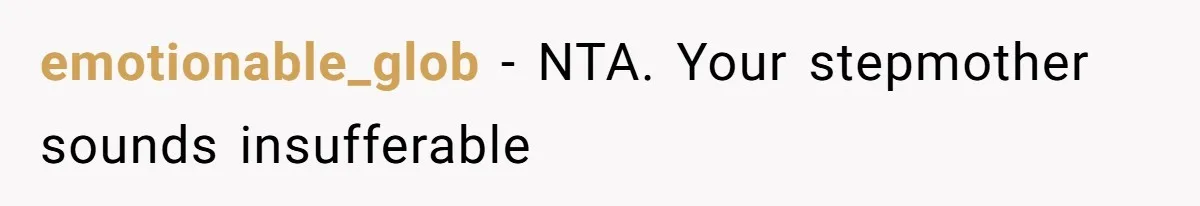 emotionable_glob − NTA. Your stepmother sounds insufferable