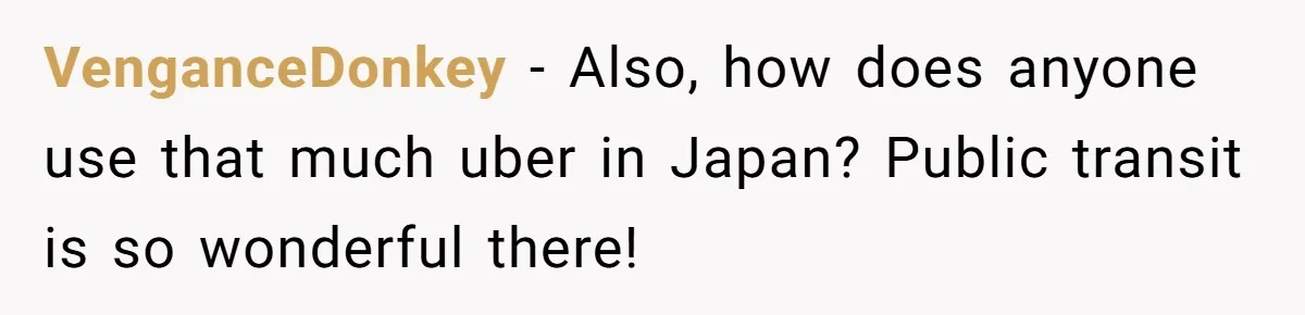 VenganceDonkey − Also, how does anyone use that much uber in Japan? Public transit is so wonderful there!