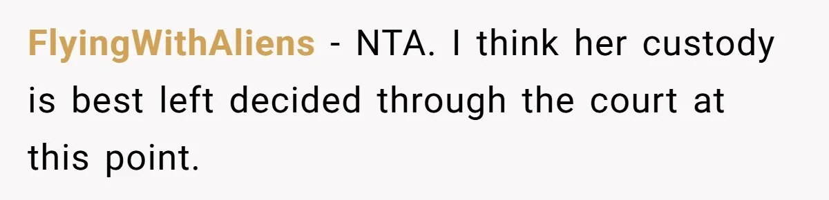 FlyingWithAliens − NTA. I think her custody is best left decided through the court at this point.