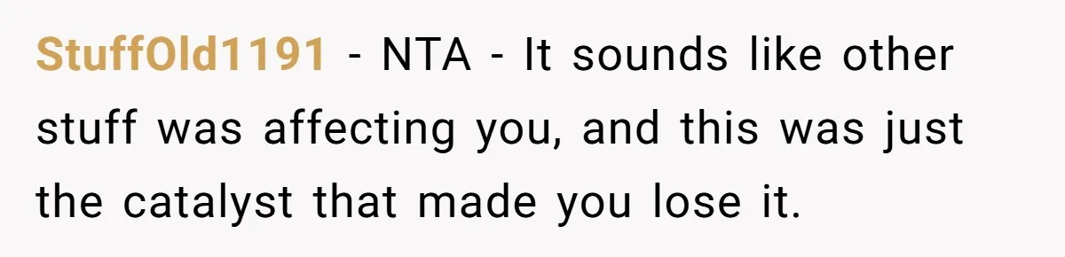 StuffOld1191 − NTA - It sounds like other stuff was affecting you, and this was just the catalyst that made you lose it.