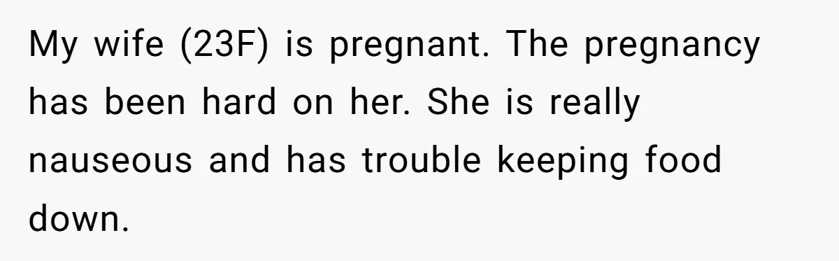 My wife (23F) is pregnant. The pregnancy has been hard on her. She is really nauseous and has trouble keeping food down.