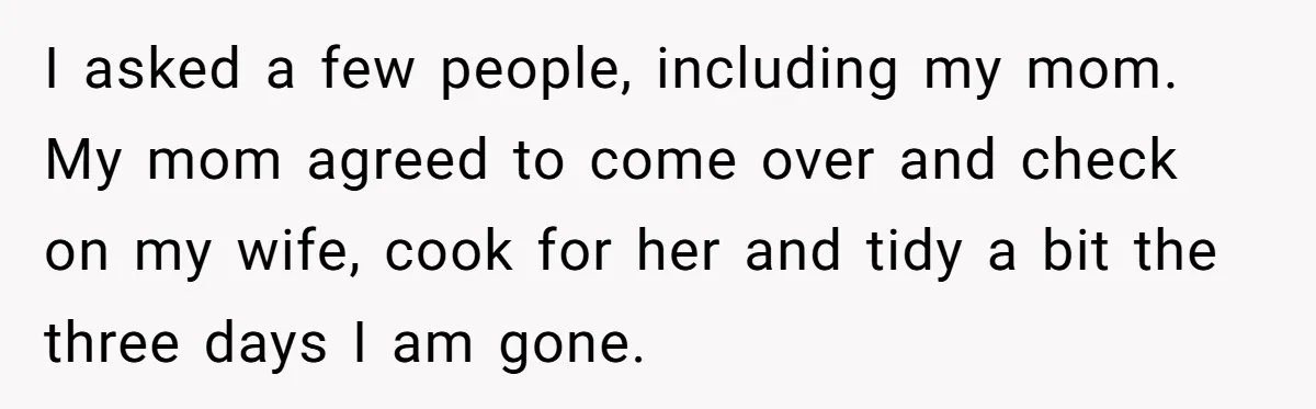 I asked a few people, including my mom. My mom agreed to come over and check on my wife, cook for her and tidy a bit the three days I...