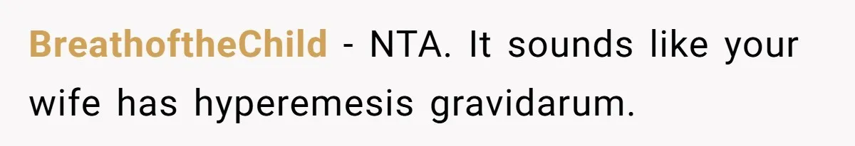 BreathoftheChild − NTA. It sounds like your wife has hyperemesis gravidarum.