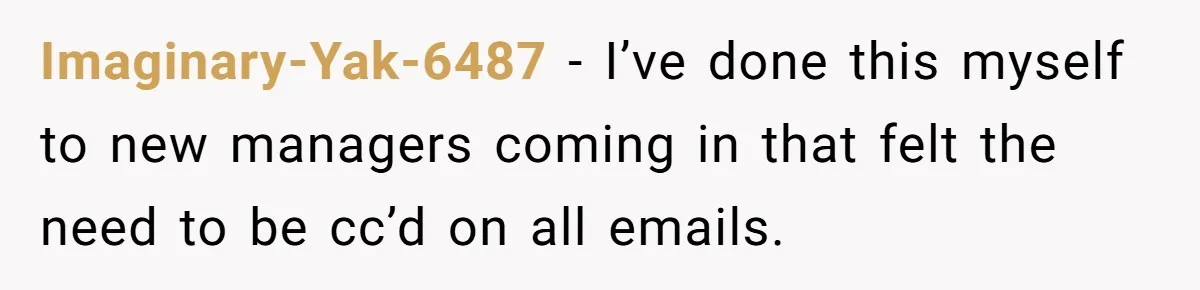 Imaginary-Yak-6487 − I’ve done this myself to new managers coming in that felt the need to be cc’d on all emails.