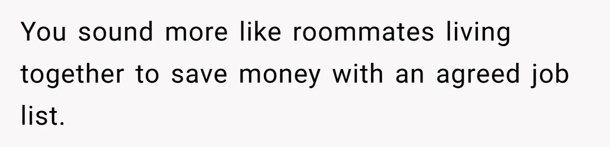 You sound more like roommates living together to save money with an agreed job list.