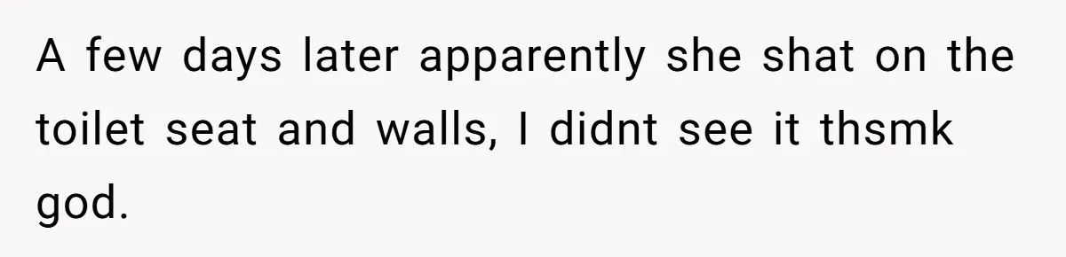 A few days later apparently she shat on the toilet seat and walls, I didnt see it thsmk god.