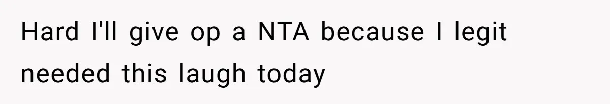 Hard I'll give op a NTA because I legit needed this laugh today