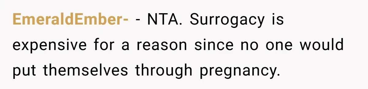 EmeraldEmber- − NTA. Surrogacy is expensive for a reason since no one would put themselves through pregnancy.
