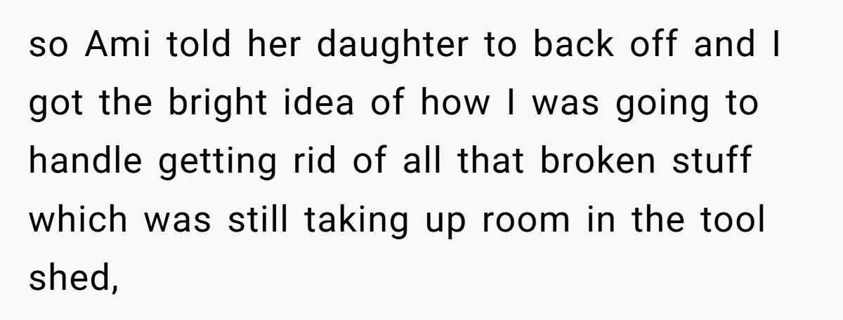so Ami told her daughter to back off and I got the bright idea of how I was going to handle getting rid of all that broken stuff which was...