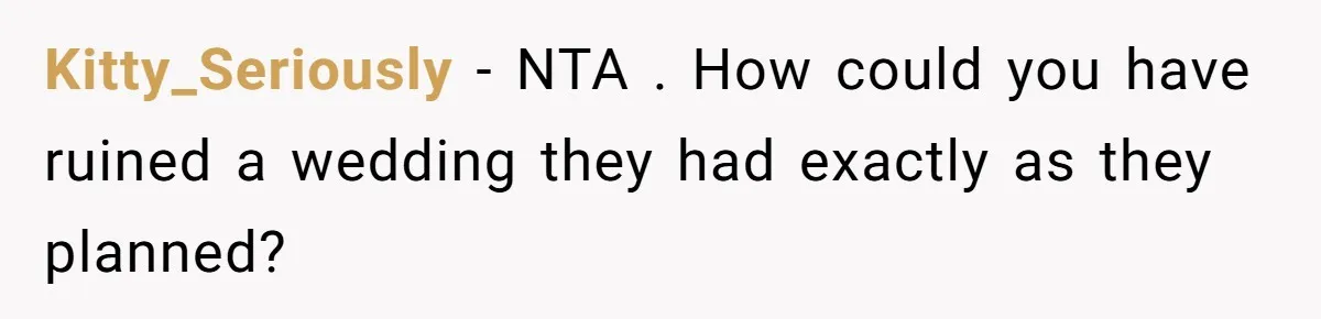 Kitty_Seriously − NTA . How could you have ruined a wedding they had exactly as they planned?