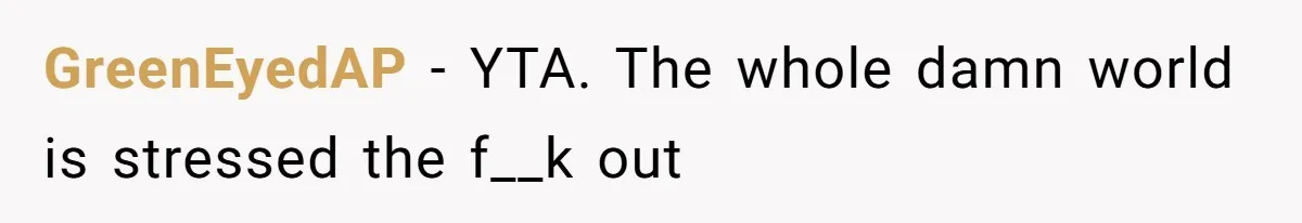 GreenEyedAP − YTA. The whole damn world is stressed the f__k out