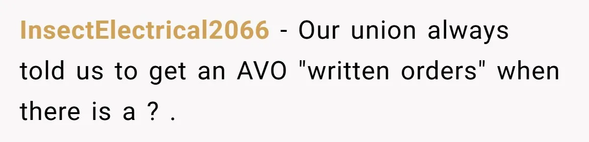 InsectElectrical2066 − Our union always told us to get an AVO "written orders" when there is a ? .