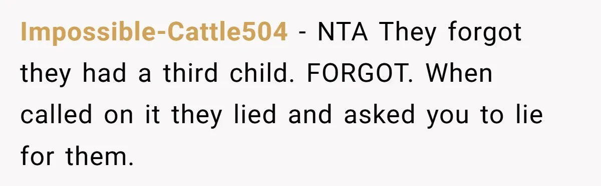 Impossible-Cattle504 − NTA They forgot they had a third child. FORGOT. When called on it they lied and asked you to lie for them.