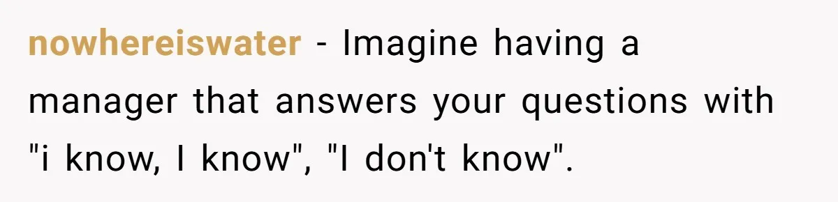nowhereiswater − Imagine having a manager that answers your questions with "i know, I know", "I don't know".