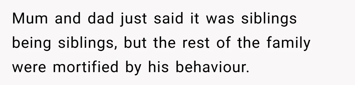 Mum and dad just said it was siblings being siblings, but the rest of the family were mortified by his behaviour.