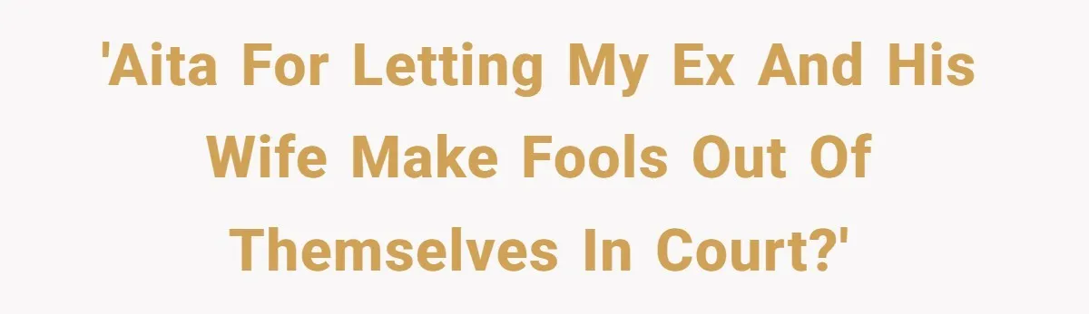 'AITA for letting my ex and his wife make fools out of themselves in court?'