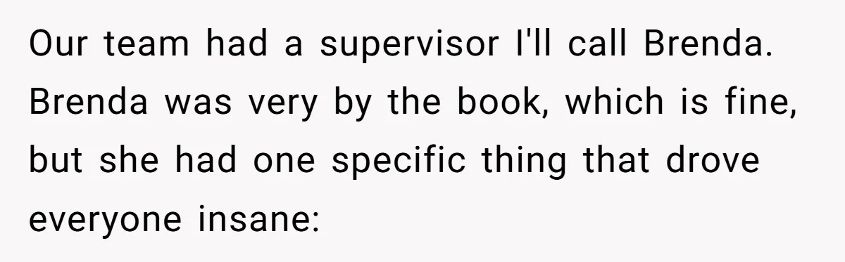 Our team had a supervisor I'll call Brenda. Brenda was very by the book, which is fine, but she had one specific thing that drove everyone insane:
