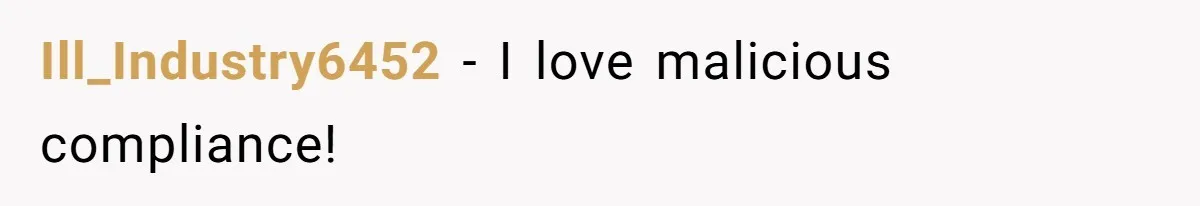 Ill_Industry6452 − I love malicious compliance!
