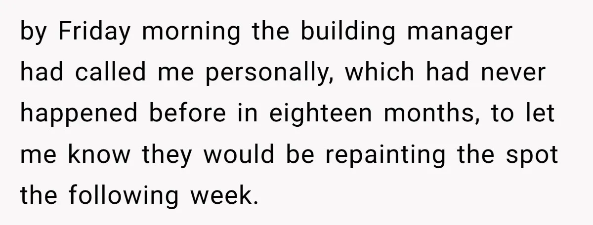 by Friday morning the building manager had called me personally, which had never happened before in eighteen months, to let me know they would be repainting the spot the following...