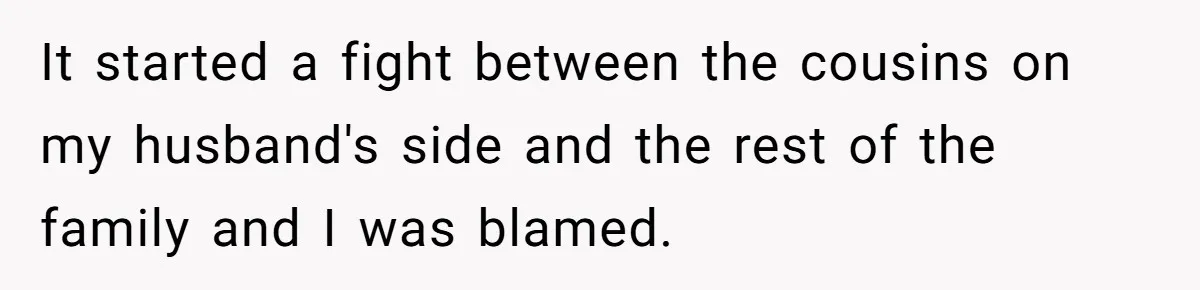 It started a fight between the cousins on my husband's side and the rest of the family and I was blamed.