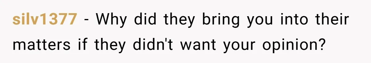 silv1377 − Why did they bring you into their matters if they didn't want your opinion?