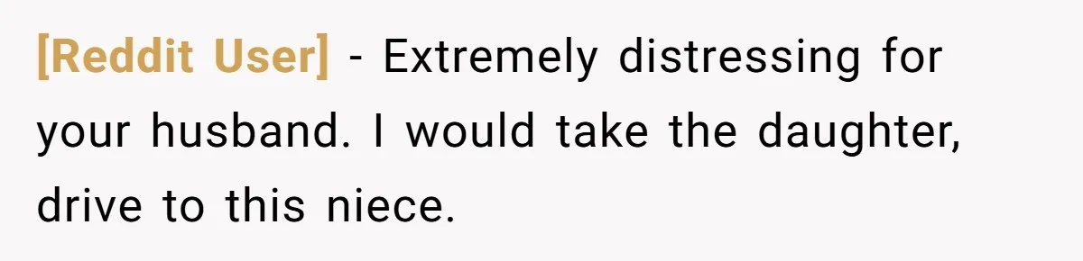 [Reddit User] − Extremely distressing for your husband. I would take the daughter, drive to this niece.