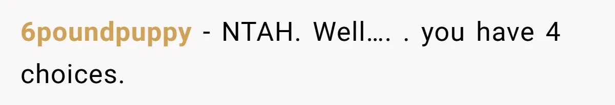 6poundpuppy − NTAH. Well…. . you have 4 choices.