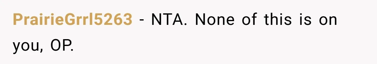 PrairieGrrl5263 − NTA. None of this is on you, OP.