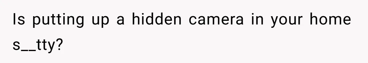 Is putting up a hidden camera in your home s__tty?